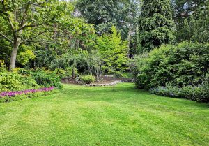 Optimiser l'expérience du jardin à Riviere-Salee